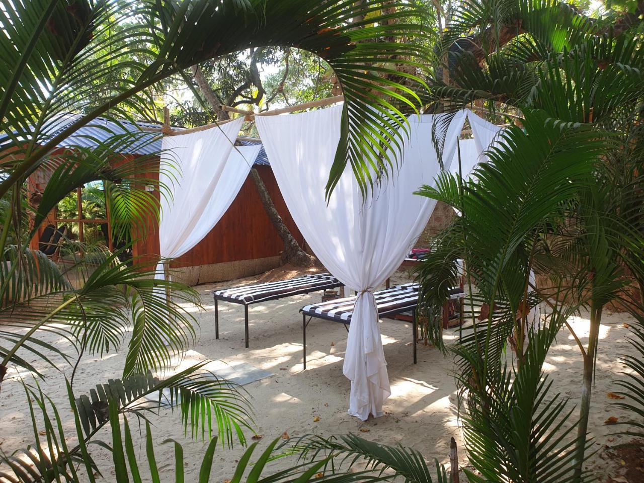 Palm Forest Палолем Екстериор снимка