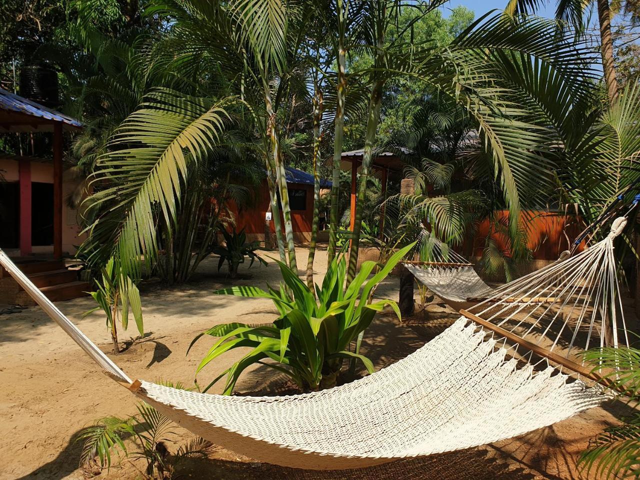 Palm Forest Палолем Екстериор снимка