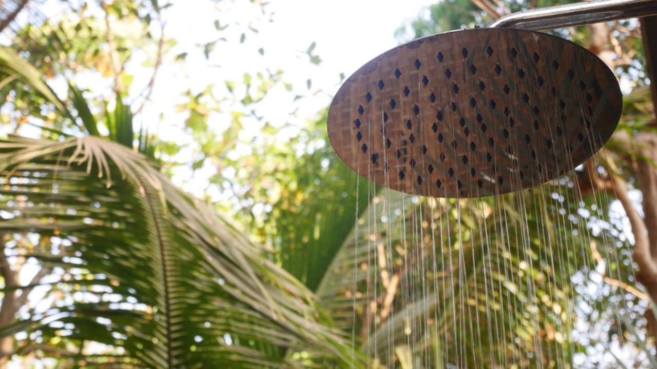 Palm Forest Палолем Екстериор снимка